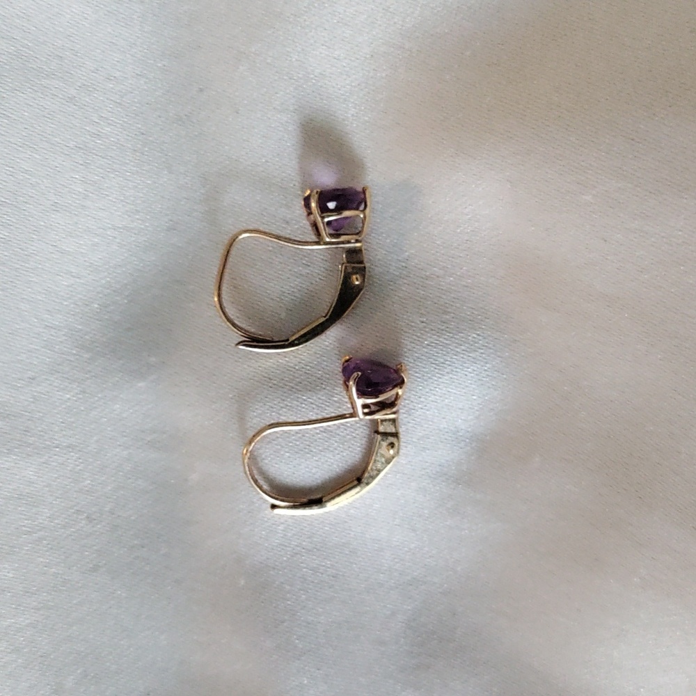 10k Gold and Amethyst Birthstone Earrings - Picture 3 of 6